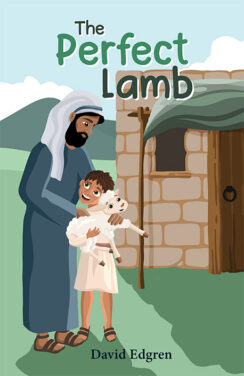 The Perfect Lamb book cover image